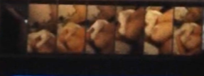 6esauunm.png