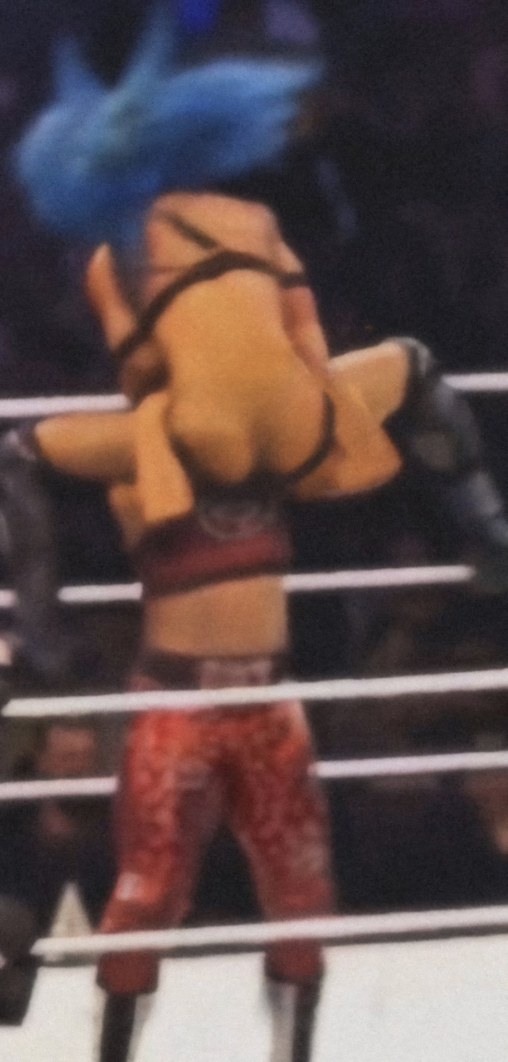Sasha_Banks_wardrobe.jpg