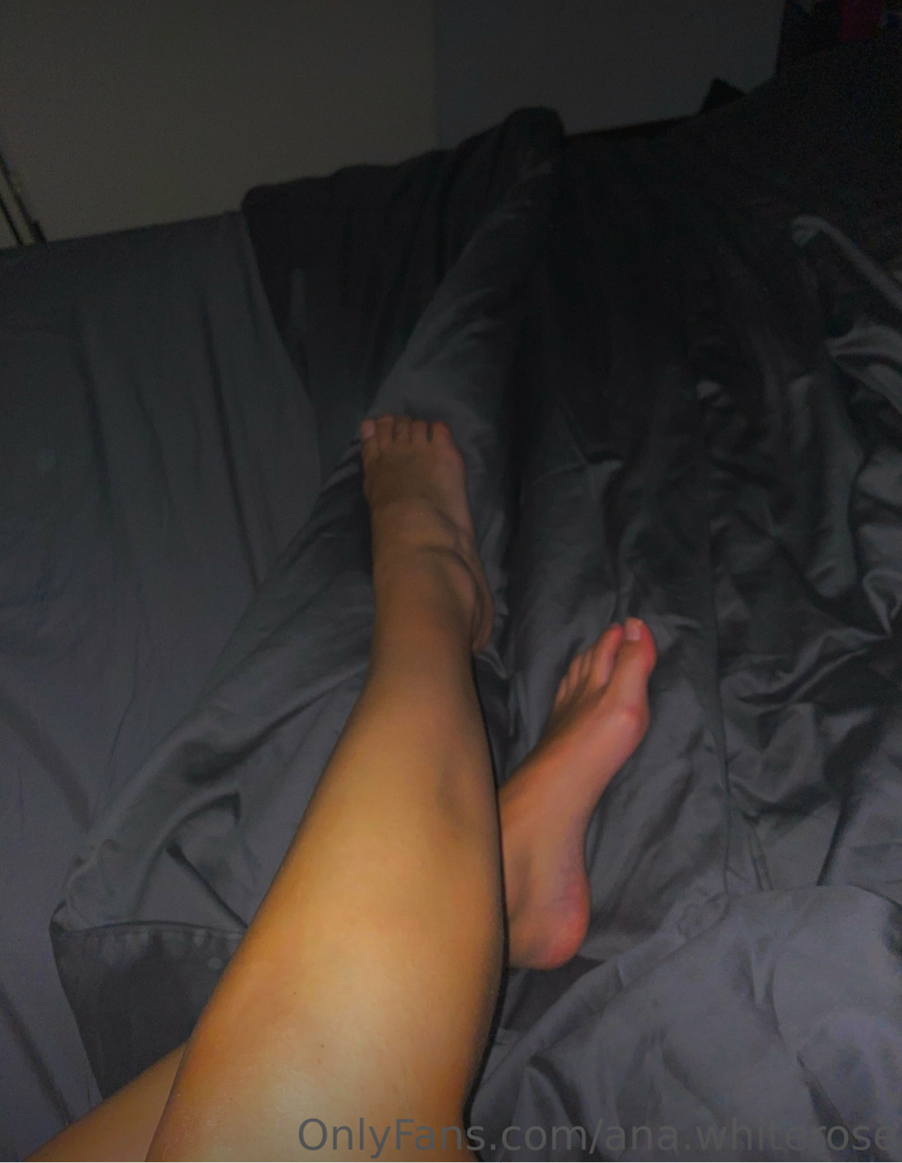 ana-feet2.png