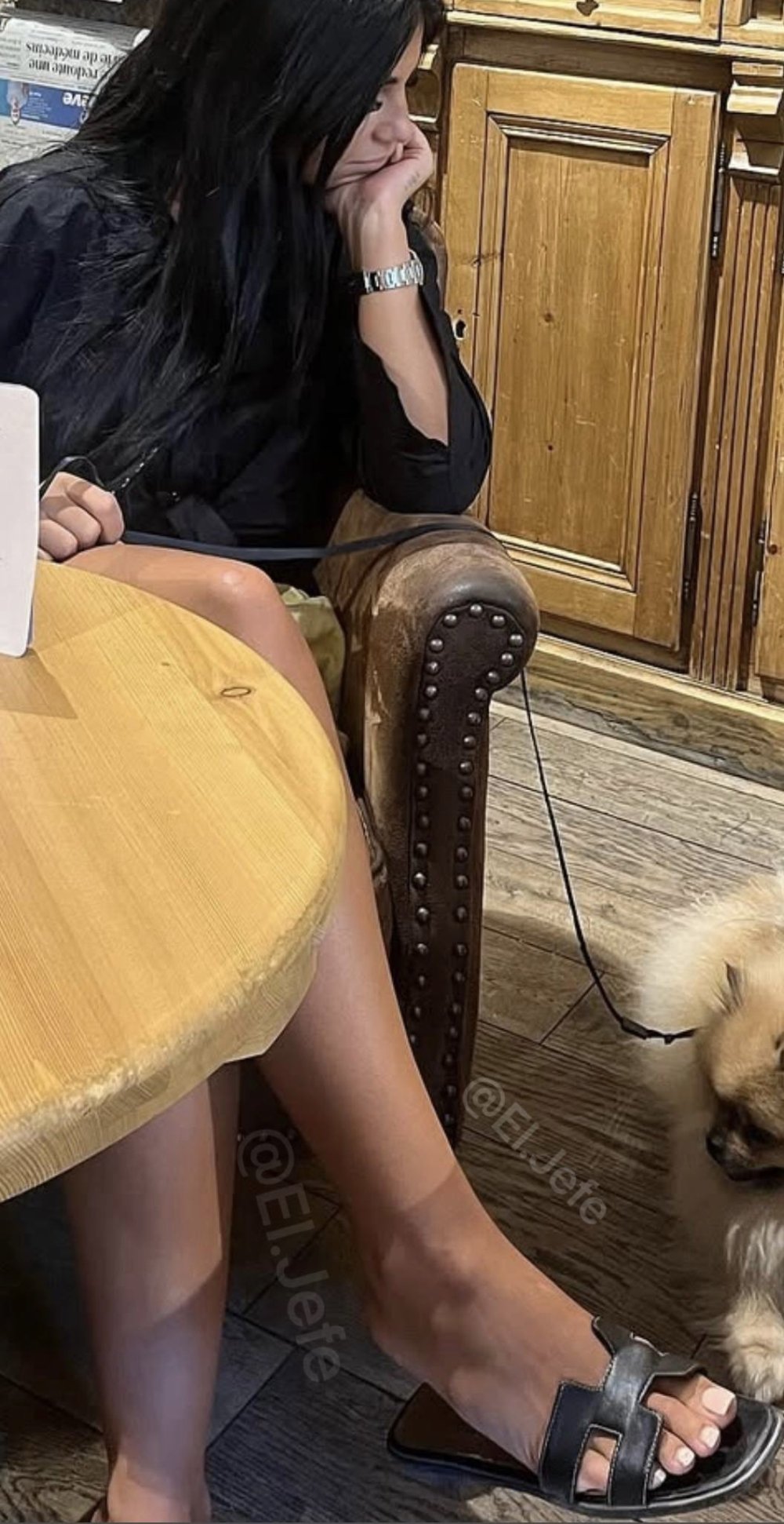 IMG_5528.jpeg IMG_5528.jpeg