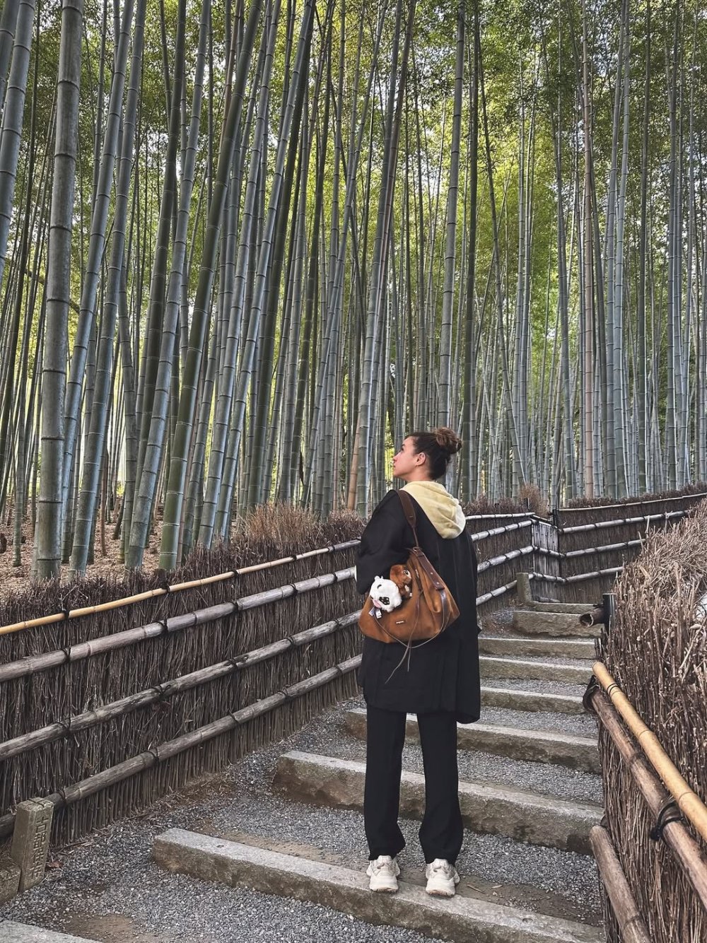 Life has been good lately - a bit of Japan 🇯🇵♥️Tokyo - Hakone - Kyoto - Nara.jpg