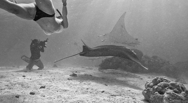 Cyrielle Hariel Sexy 14.jpg