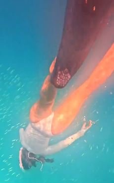 Cyrielle Hariel Sexy 44.jpg