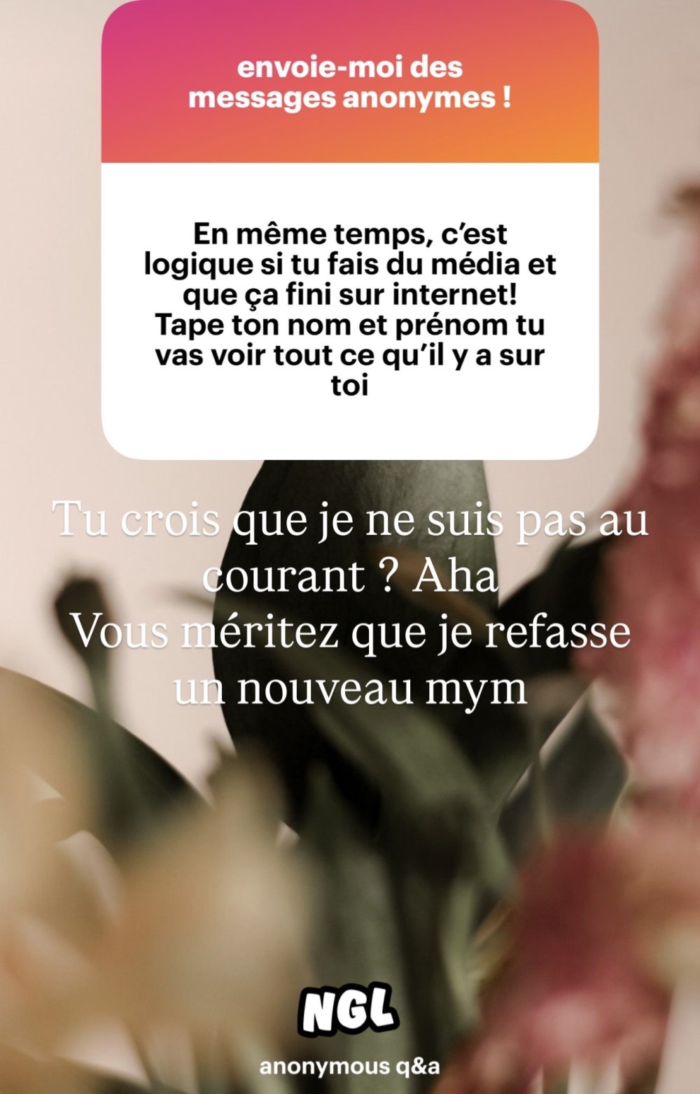 IMG_0348.jpeg IMG_0348.jpeg