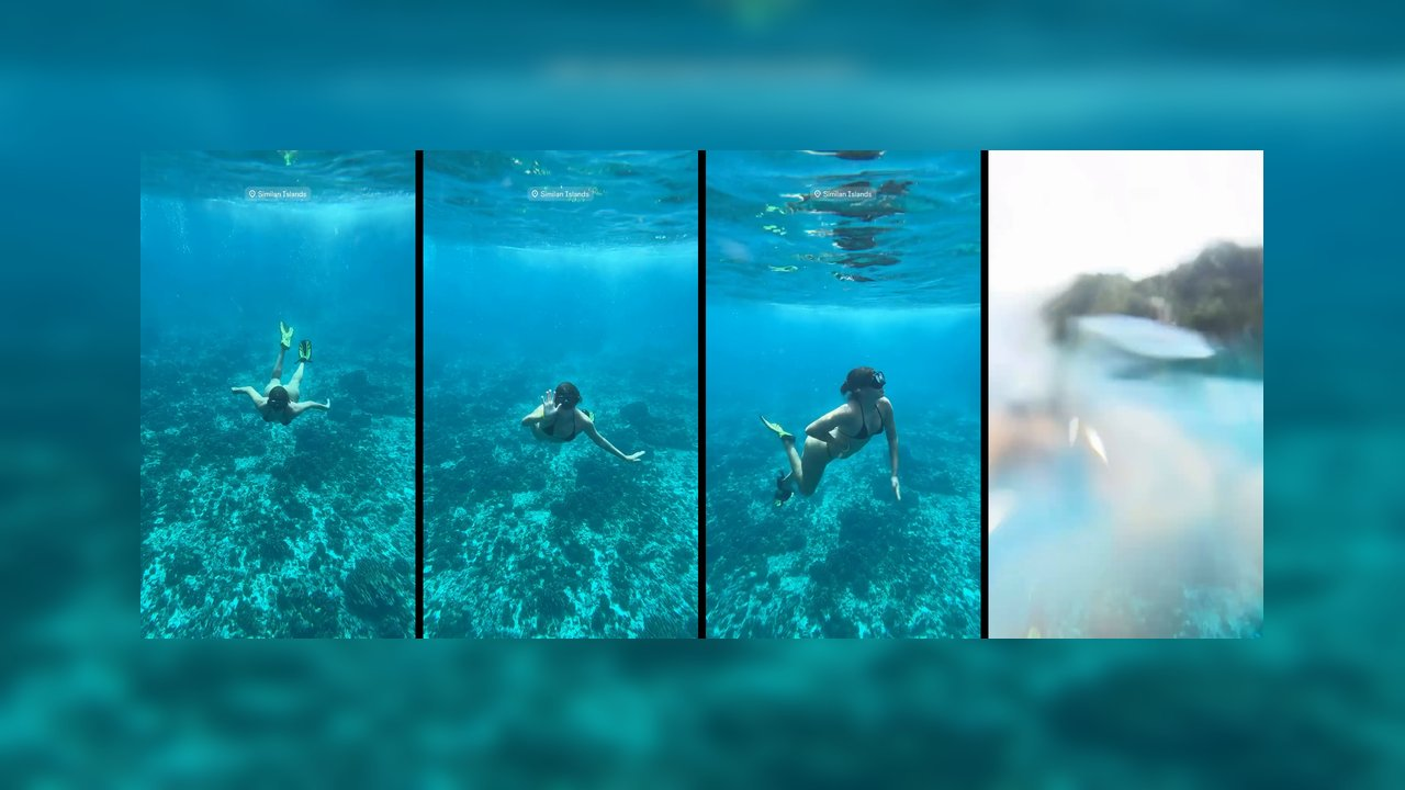 Fernanda Mota Farhat_3_Fernanda_Mota_Farhat_stripping_for_camera.png