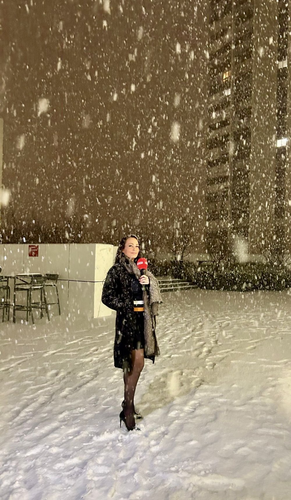 IMG_3572.jpeg IMG_3572.jpeg