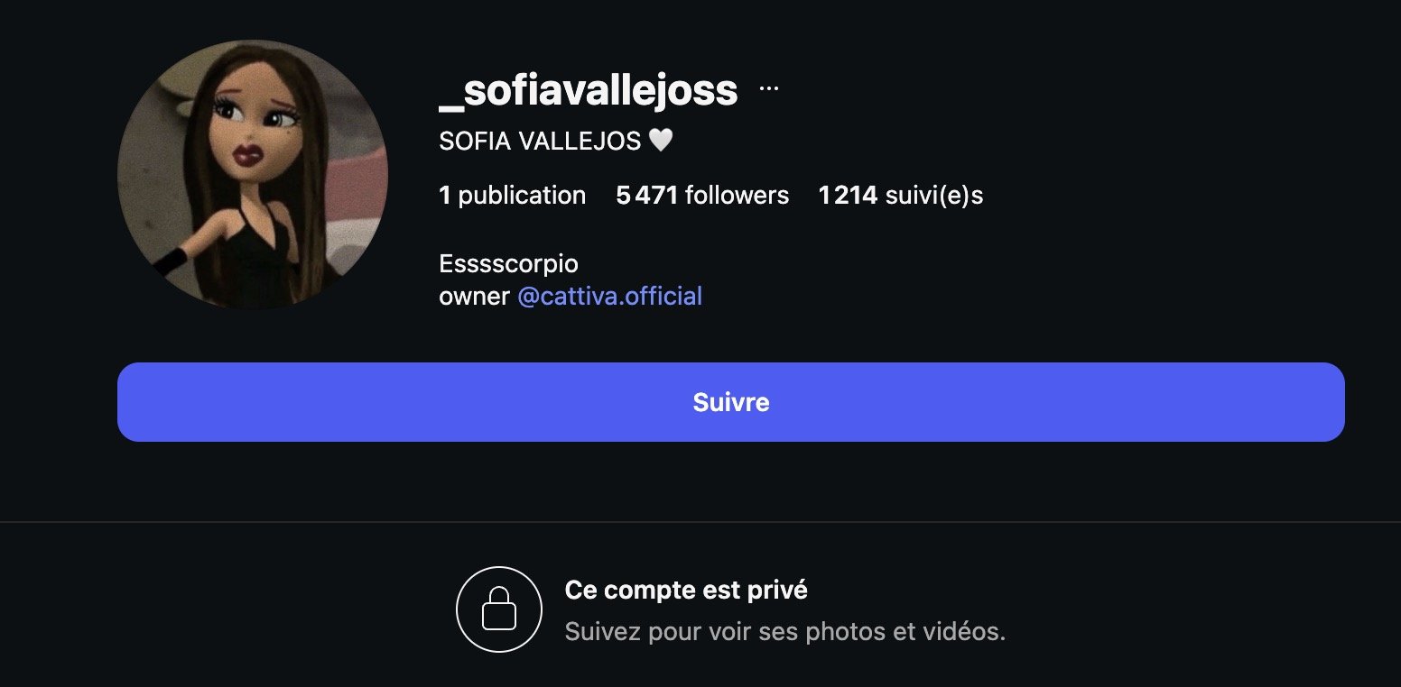 Capture d’écran 2026-01-14 à 00.56.42.jpg