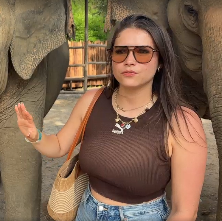 Capture d'écran 2026-01-29 175039.png