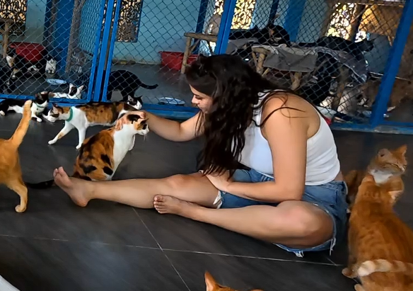 Capture d'écran 2026-02-02 183058.png