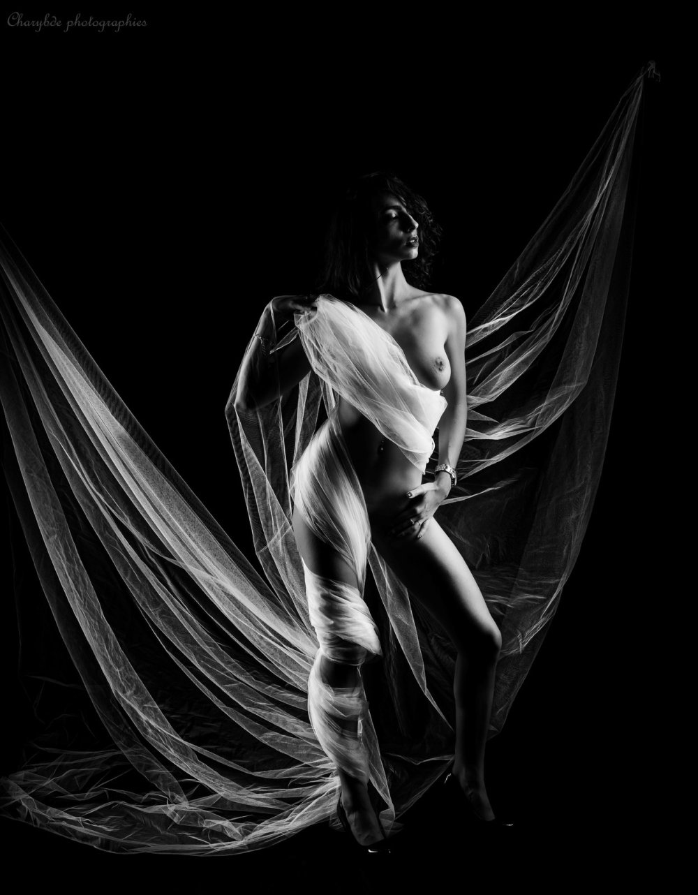 IMG_2207.jpeg IMG_2207.jpeg