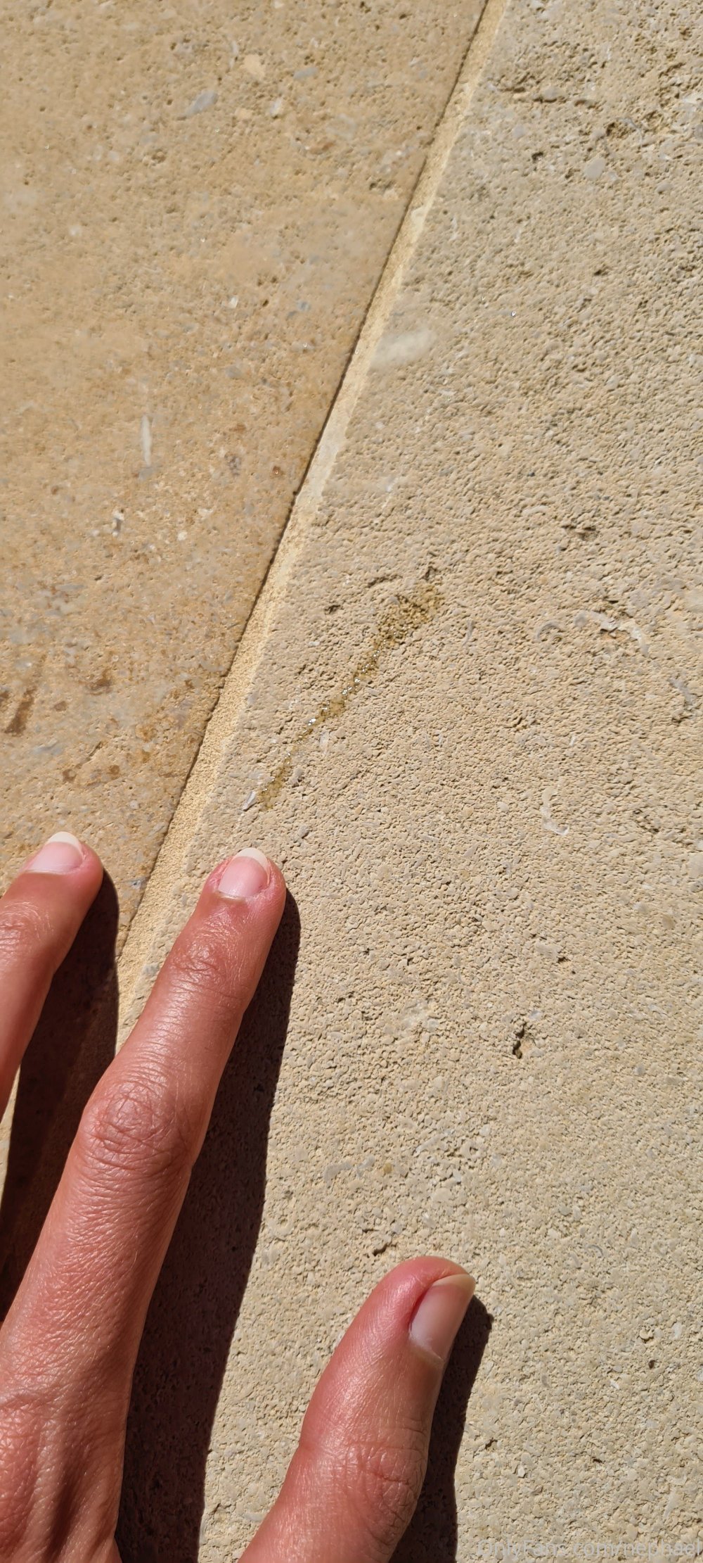 @society0 Telegram Channel Must Join @society70 (63).jpg