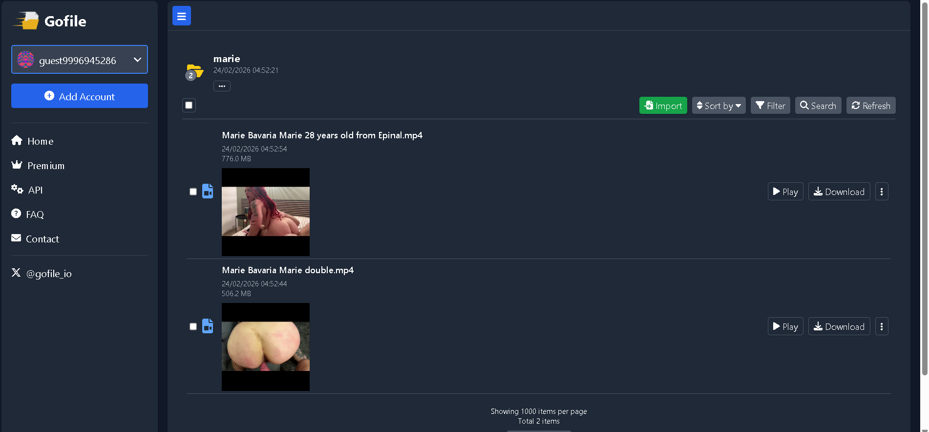 Capture d'écran 2026-02-24 045352.png