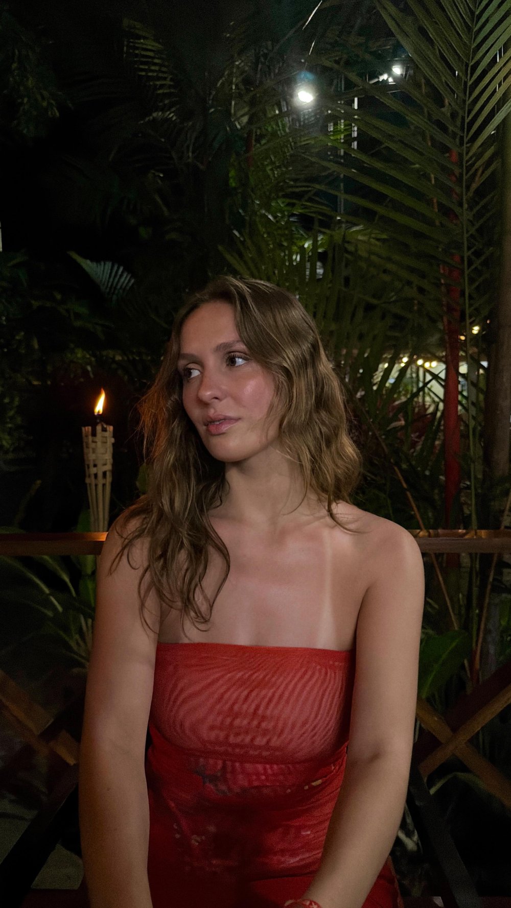 [image] - 8297886.jpg