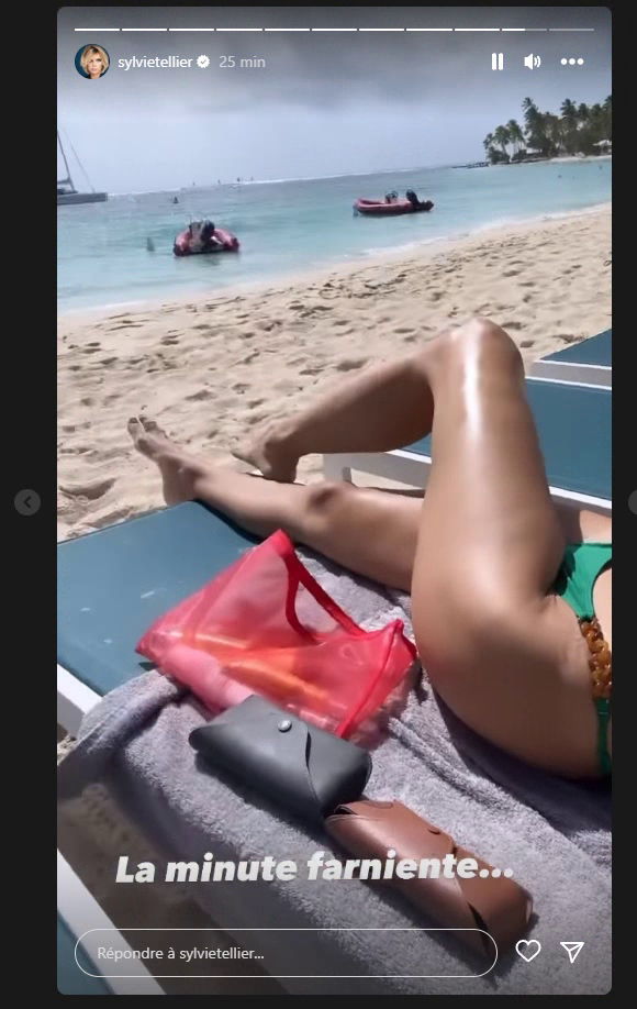 Sylvie Tellier Sexy 19.PNG