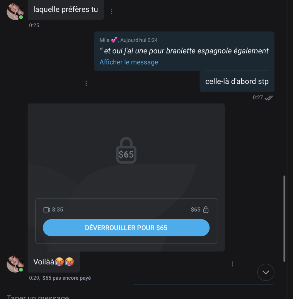 Capture d’écran 2026-03-30 à 00.32.12.png