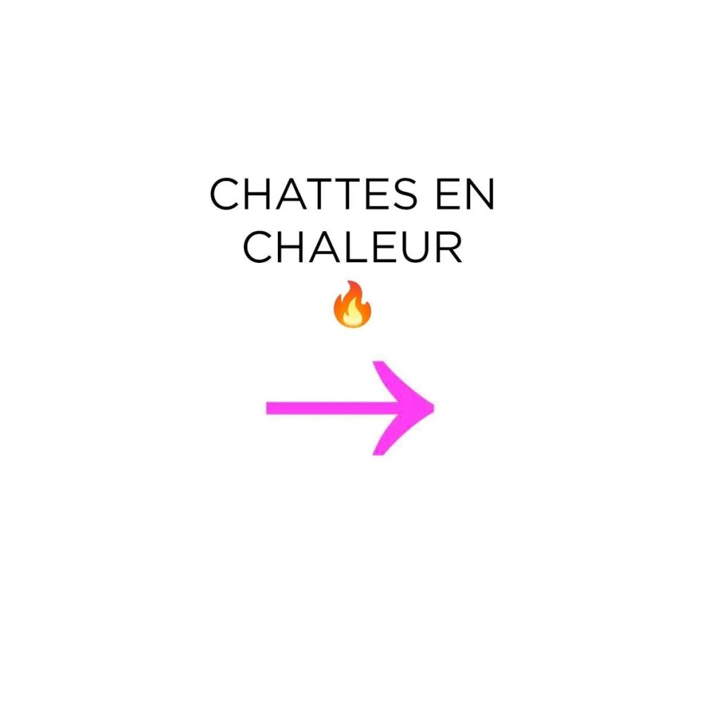 Cléa Gaultier • Chattes en Chaleur1.jpg