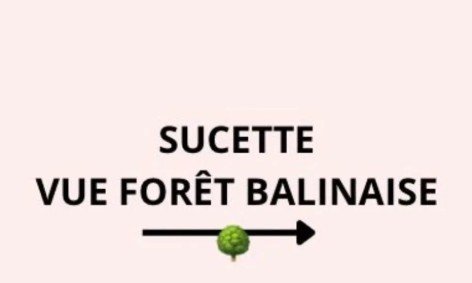 Anita Rover • Sucette Vue Forêt Balinaise1.jpg