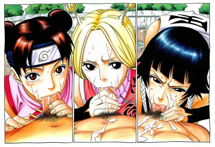 conis soifon sui-feng tenten .jpg