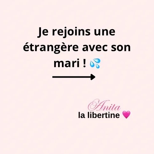 Anita Rover • Je rejoins une étrangère avec son mari1.jpg