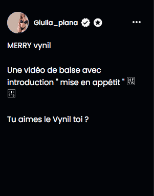 Giulia_piana _ X-MAS  _ MERRY VINYLvc.png