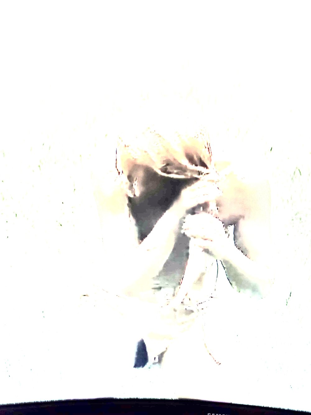 Claire.jpeg