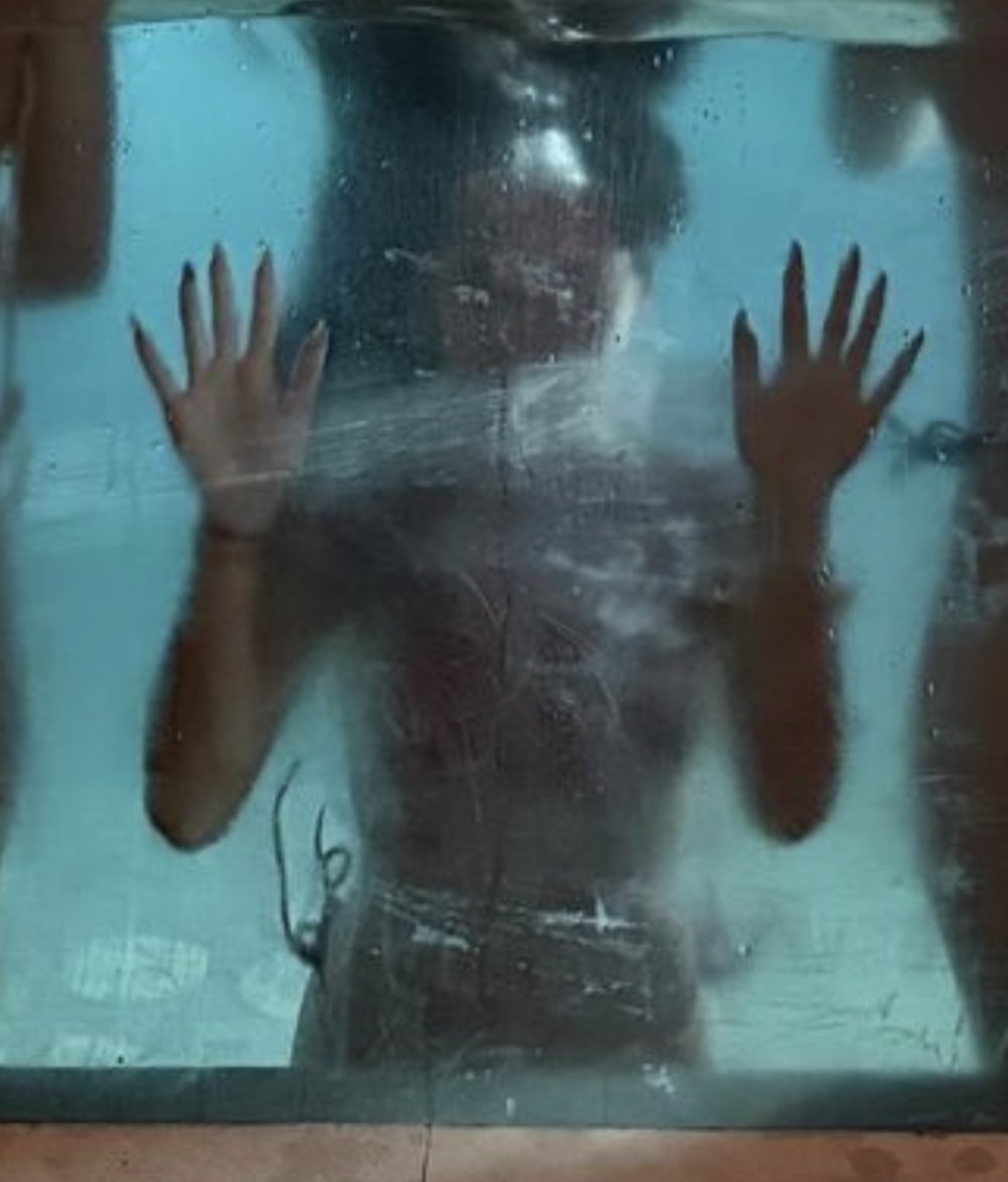 IMG_0220.jpeg