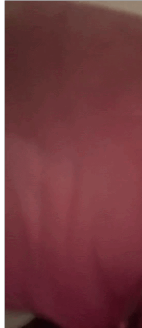 1000033948.gif