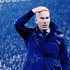 zinedine-zidane-icegif-7.gif