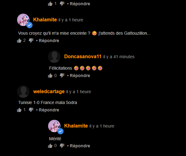 Capture d'écran 2025-06-18 230731.png