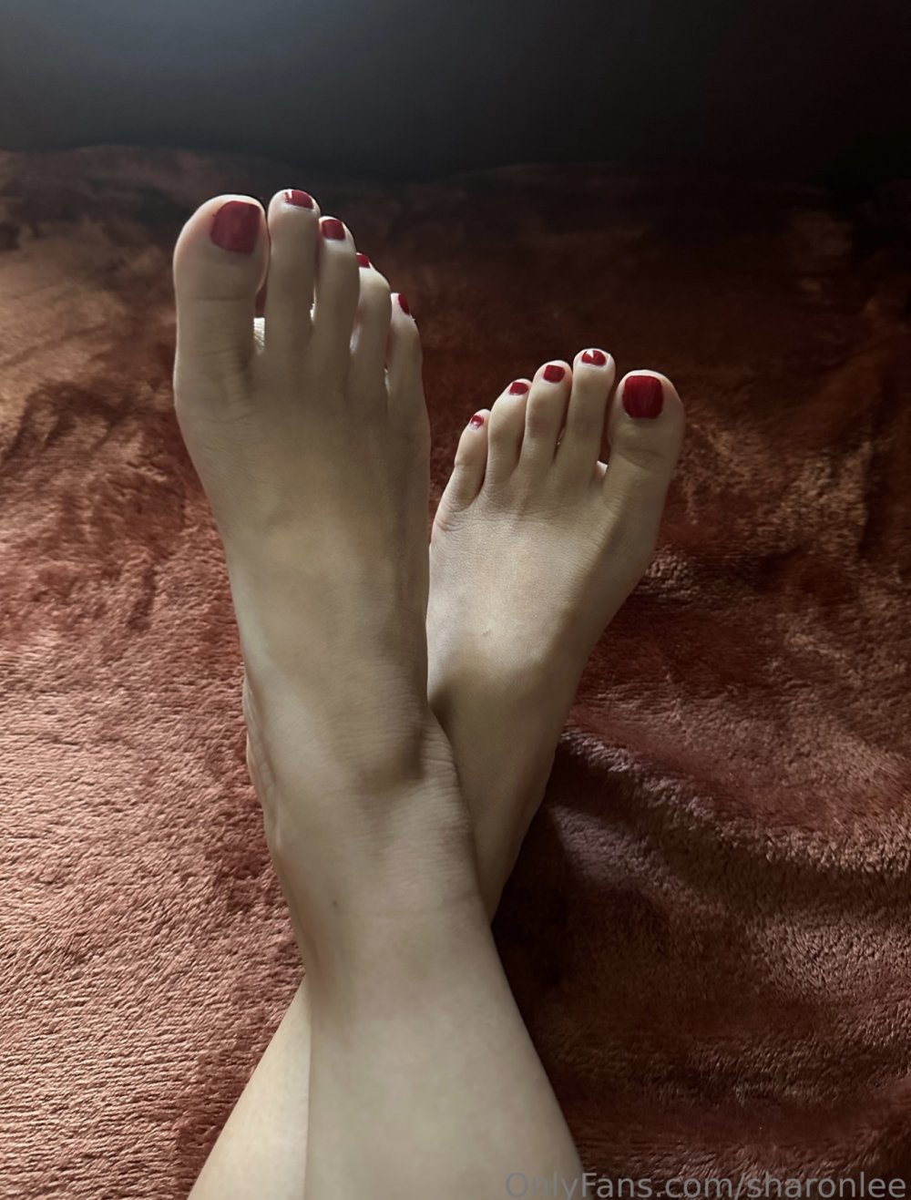 IMG_7827.jpeg