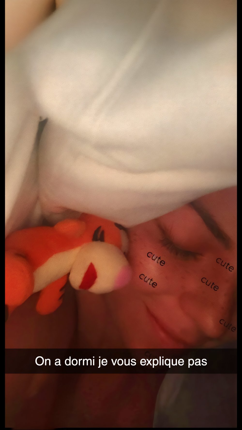 37662-291534556.jpg