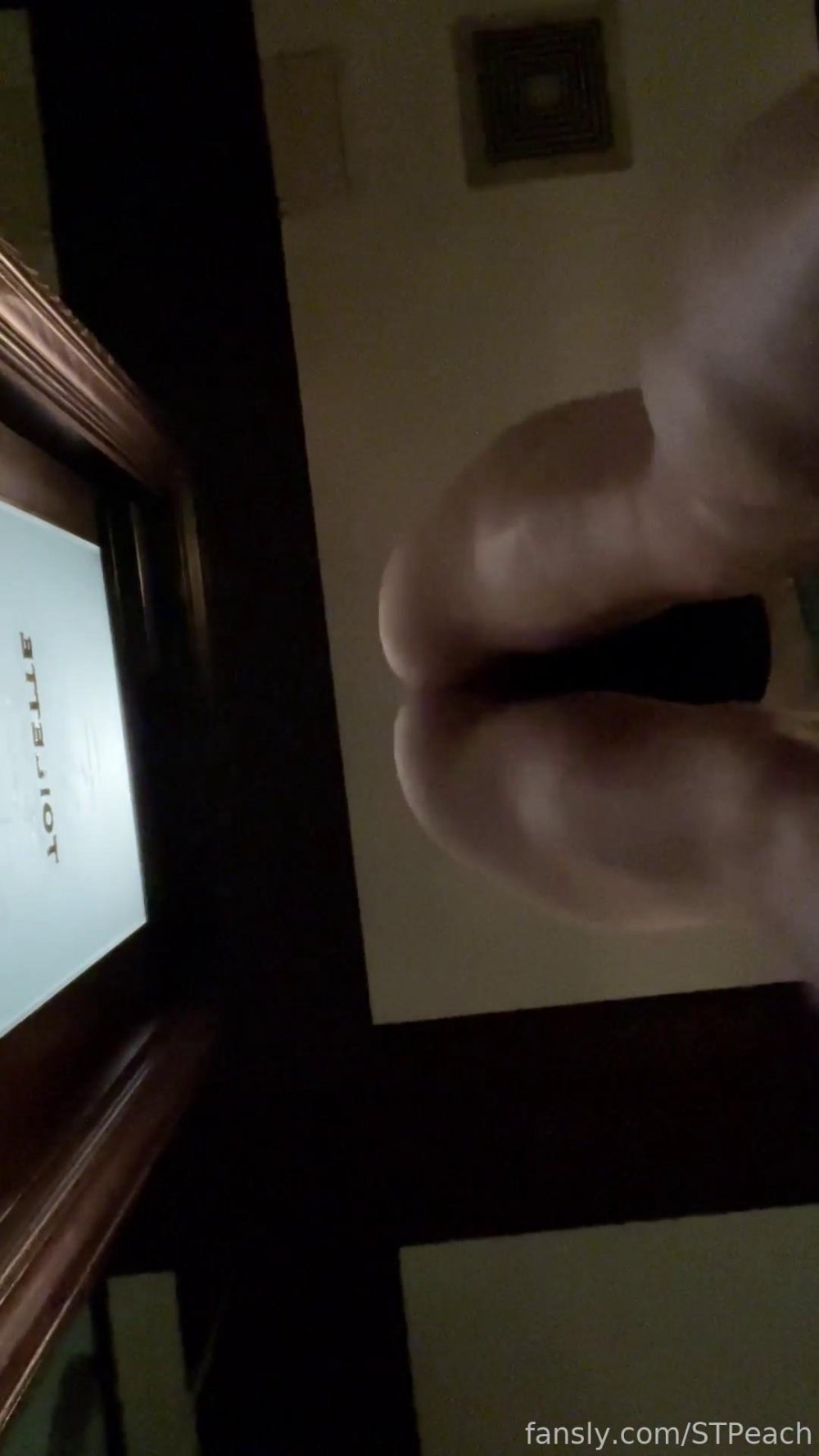 stpeach_public_toilet_skirt_tease_fansly_video_leaked-NHJQXY.jpg