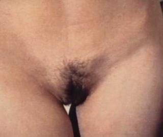IMG_0697.jpeg