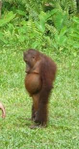 IMG_0261.jpeg