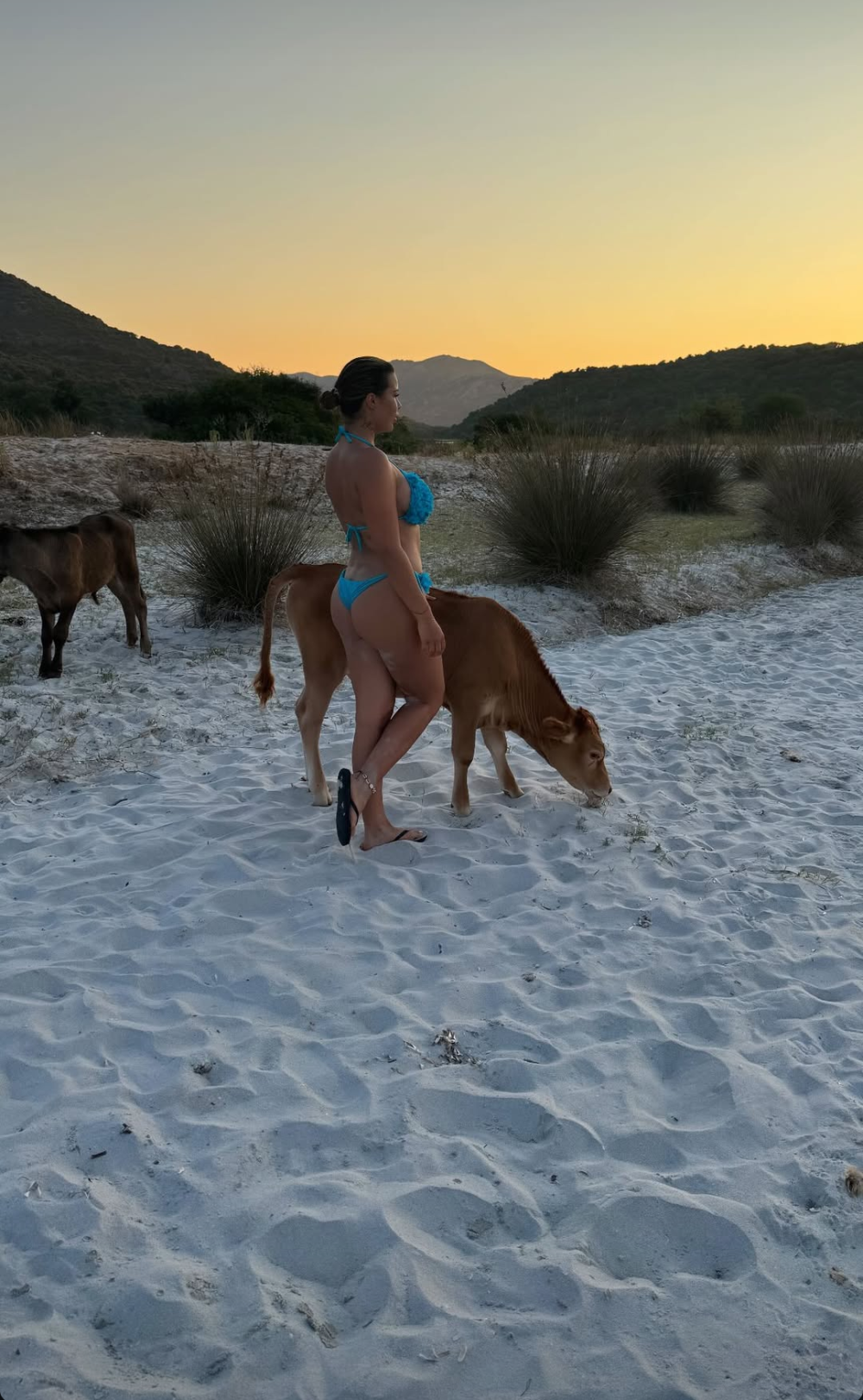 instagram_story__13082025_paloma_star__4.png