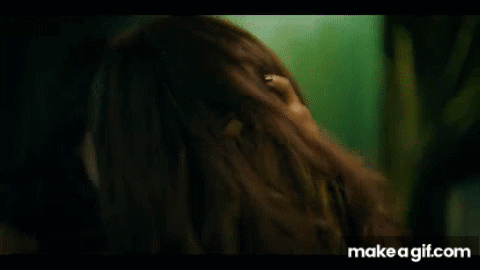 20250821_113641.gif