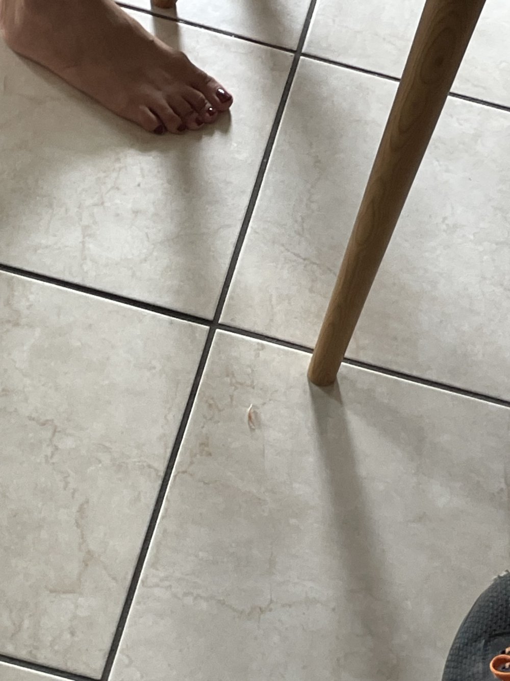 IMG_0532.jpeg