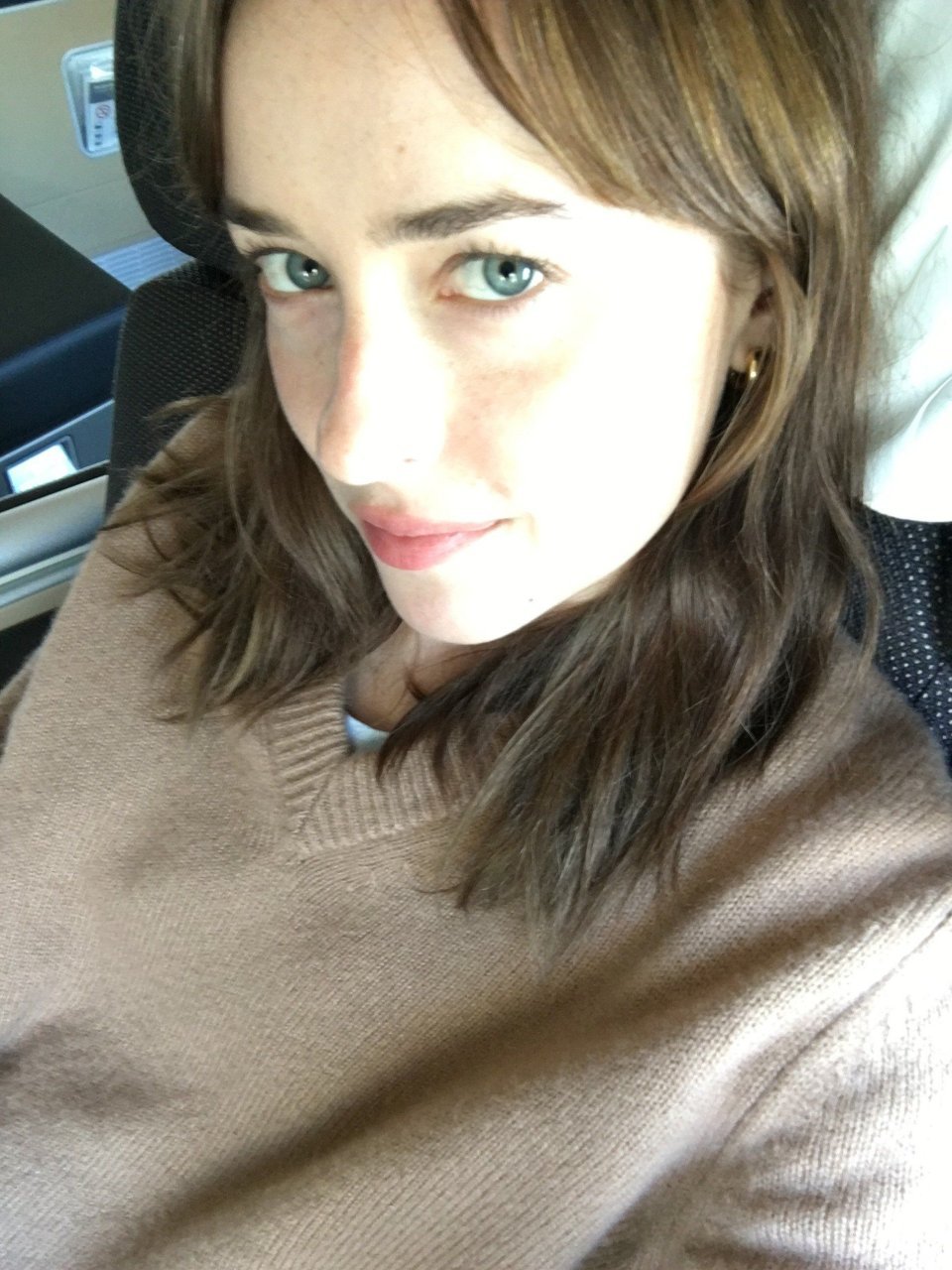 Dakota-Johnson-Leaked1347.jpg