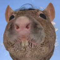 TheGenerousRat