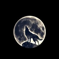 LeakiWolf