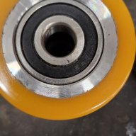 coquinou66