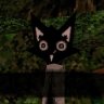 nekog